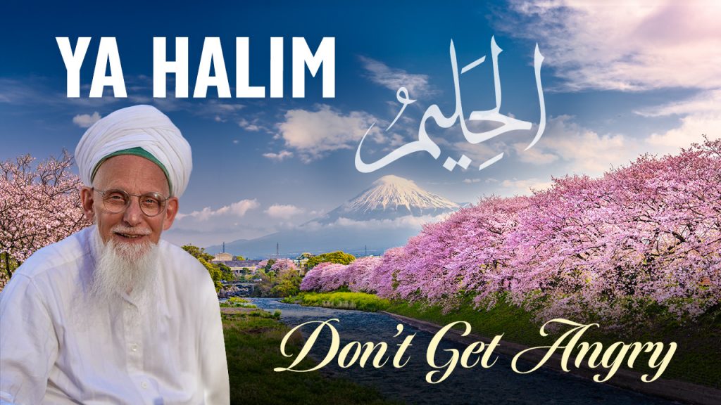 Thumbnail of the Sohbat „Ya Halim — Don't Get Angry“ of Sheikh Hassan.